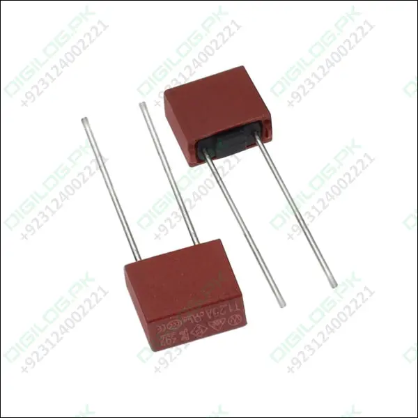 392 Series Square Micro Fuse – 2A, 250V, Time-Delay (Slow-Blow), Radial Lead 1