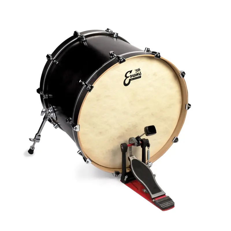 Evans 20" Eq4 Calftone Bass Drum Head – Clear Sound 1