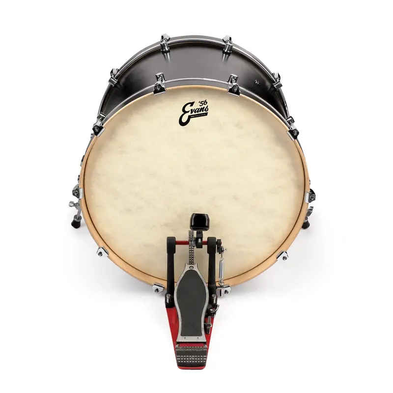 Evans 22" Eq4 Calftone Bass Drum Head – Rich Low End 1