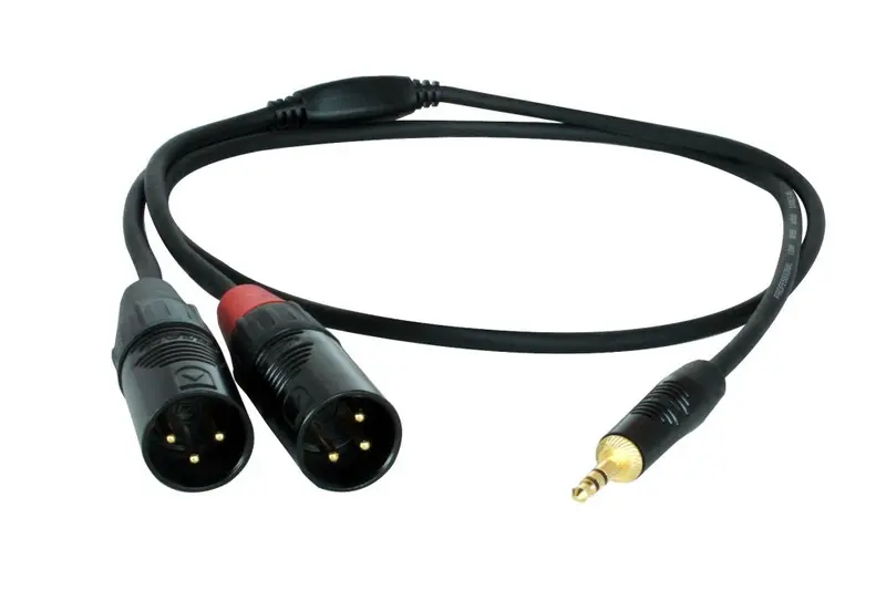 Hin 1K2X Performance Insert Cable – Keyed Xlr Male To Dual Xlr Female 1